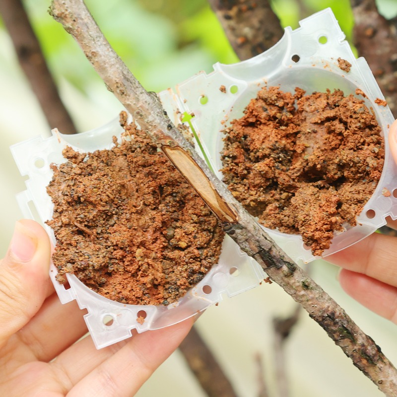 Yeniden Kullanılabilir Bitki K - Gardening Tools Rack incelemesi ve fiyatı