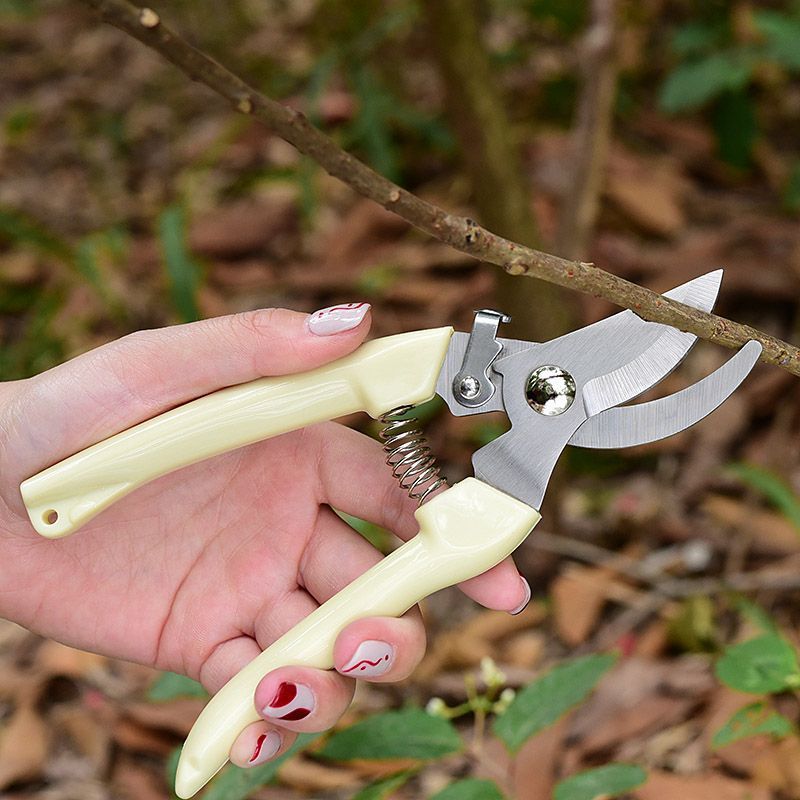 İşgücü Tasarrufu Sağlayan Bahç - Gardening Tools Usa incelemesi ve fiyatı