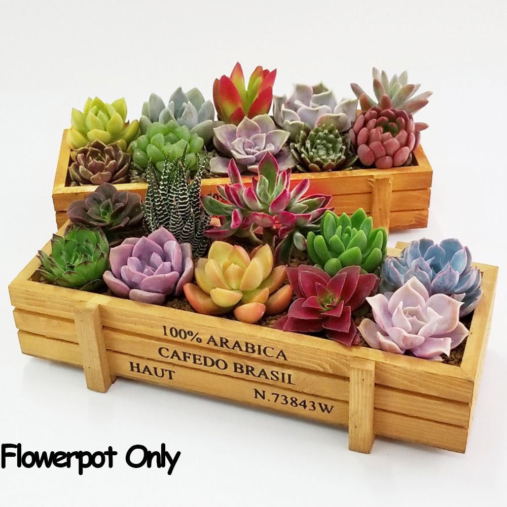 1 adet araçları bahçe dekor Tr - Gardening Tools Rack incelemesi ve fiyatı