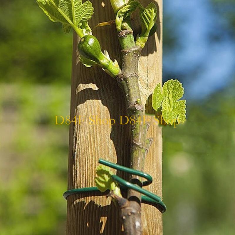 D84F 2.5mmx10m Yeşil Yumuşak B - Garden Wire Twist Tie incelemesi ve fiyatı