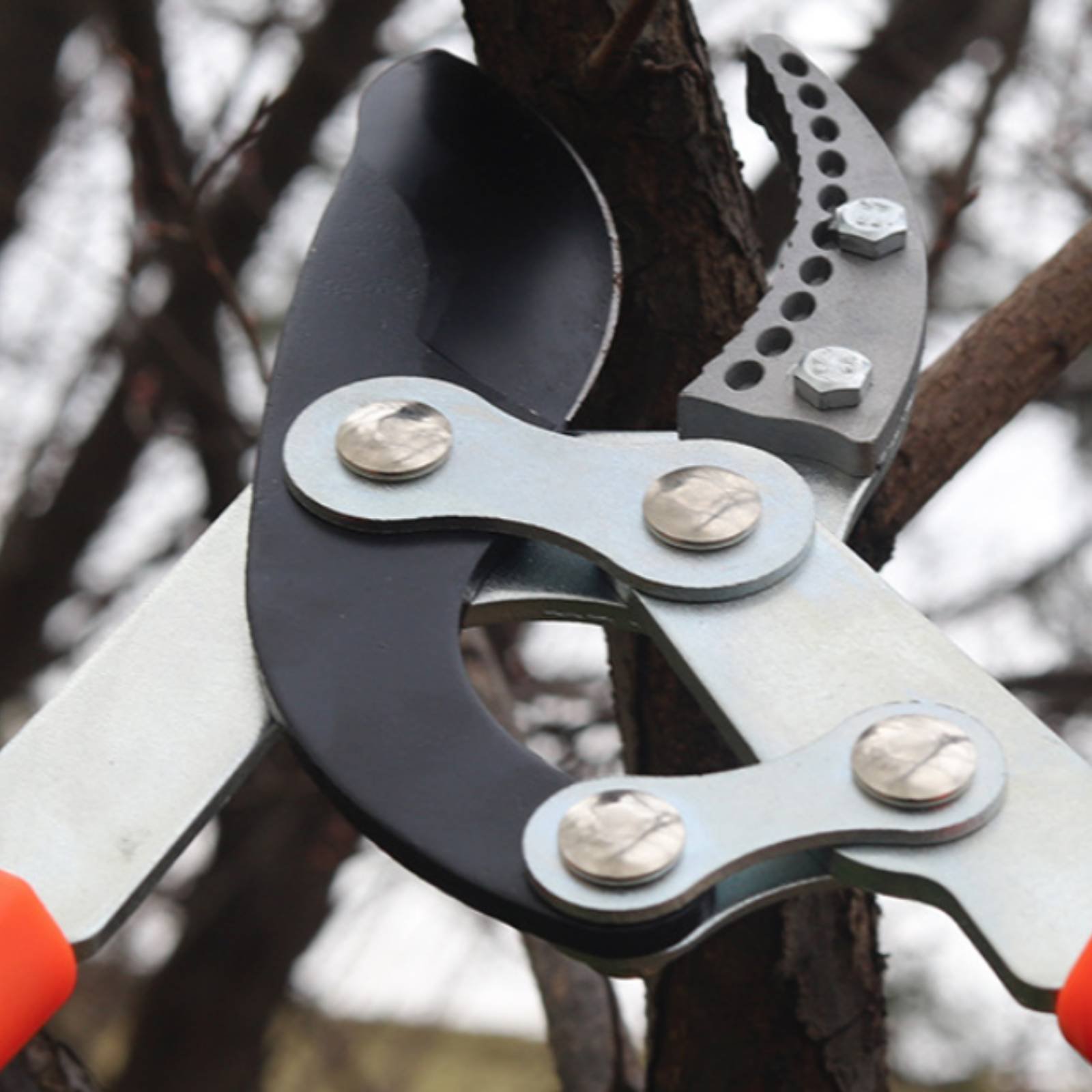 Teleskopik Dal Budama Makinele - Gardening Tools incelemesi ve fiyatı